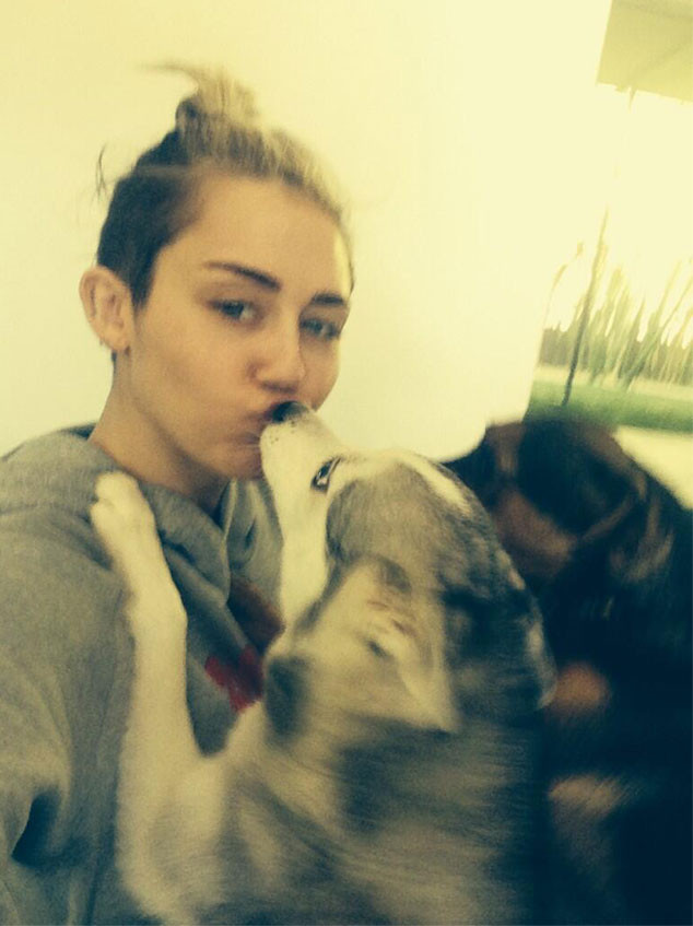 Miley Cyrus, Twitter Miley Cyrus, Twitter